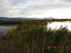 DSCN0137.JPG
