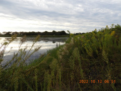 DSCN0138.JPG