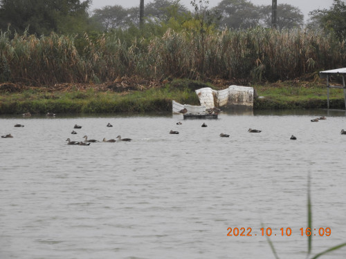 DSCN0126.JPG
