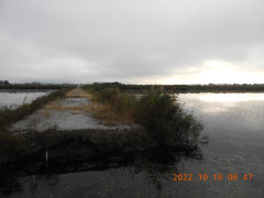 DSCN0025.JPG