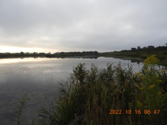 DSCN0026.JPG