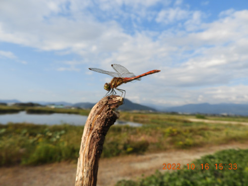 DSCN0035.JPG