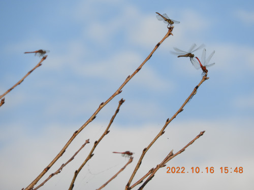 DSCN0058.JPG