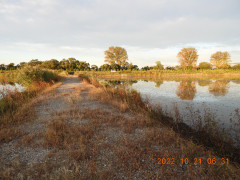 DSCN0111.JPG