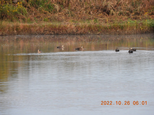 DSCN0194.JPG