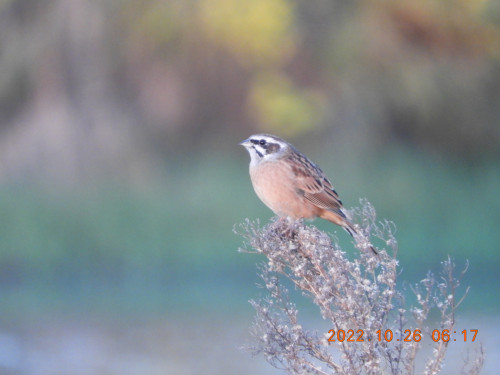 DSCN0204.JPG