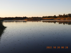 DSCN0209.JPG