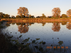 DSCN0212.JPG
