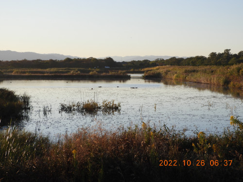 DSCN0217.JPG
