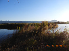 DSCN0226.JPG