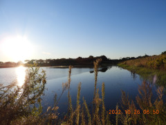 DSCN0227.JPG