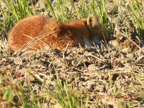 DSCN0234.JPG