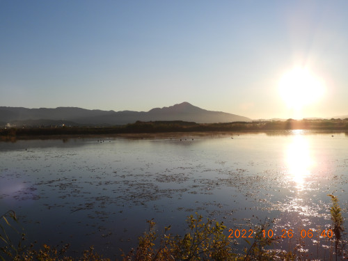 DSCN0221.JPG
