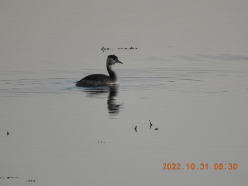 DSCN9968.JPG