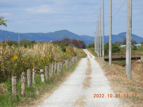 DSCN9959.JPG