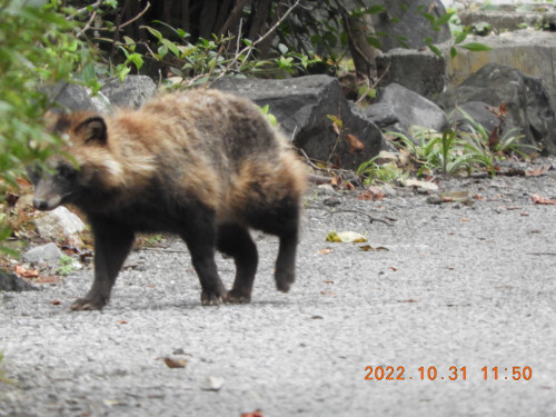 DSCN9978.JPG