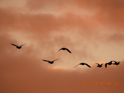 DSCN0006.JPG