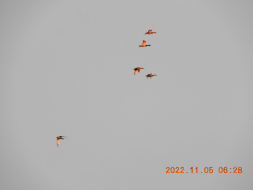 DSCN0013.JPG