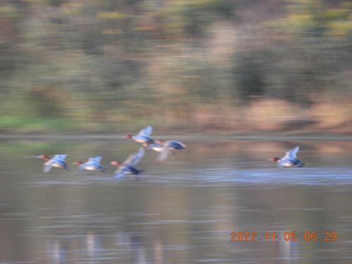 DSCN0016.JPG