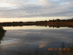 DSCN0020.JPG