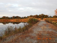 DSCN0021.JPG