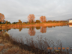 DSCN0022.JPG