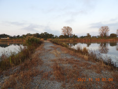 DSCN0061.JPG