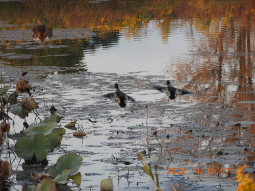 DSCN0065.JPG