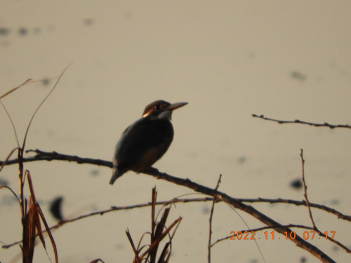 DSCN0070.JPG
