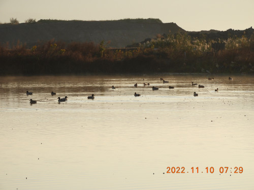 DSCN0095.JPG