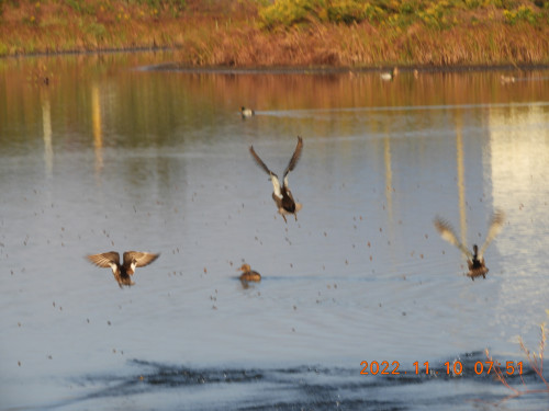 DSCN0103.JPG