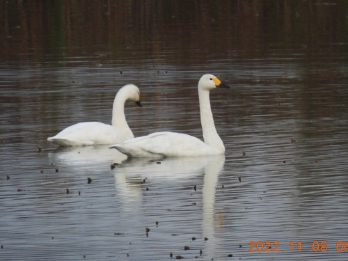RSCN0520.JPG