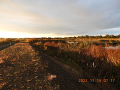 DSCN0119.JPG