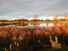 DSCN0120.JPG