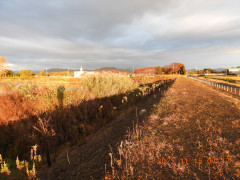 DSCN0121.JPG