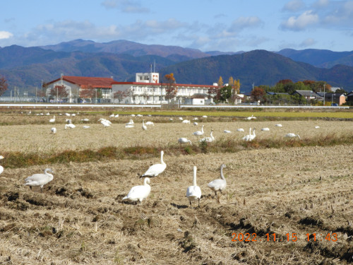 DSCN0145.JPG