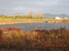 DSCN0731.JPG