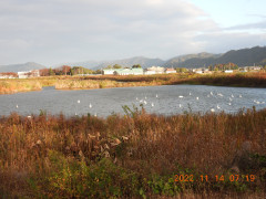 DSCN0732.JPG
