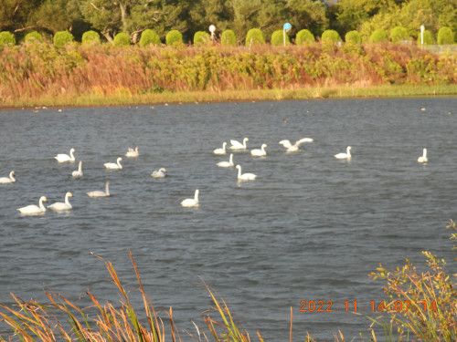 DSCN0726.JPG