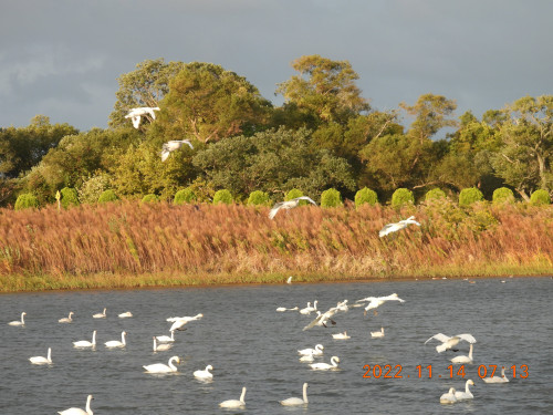 DSCN0725.JPG