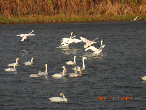 DSCN0722.JPG