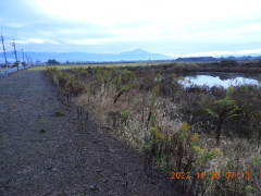DSCN0153.JPG