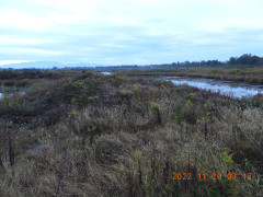 DSCN0154.JPG