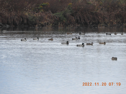 DSCN0156.JPG