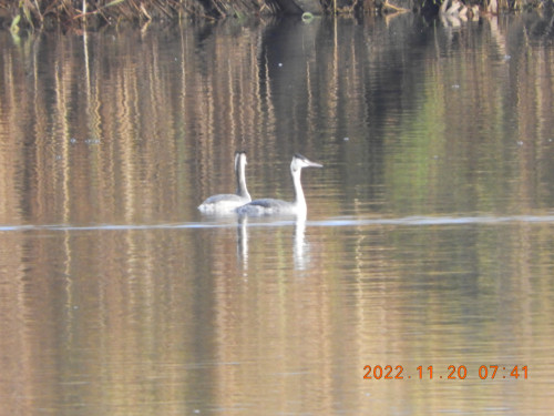 DSCN0168.JPG