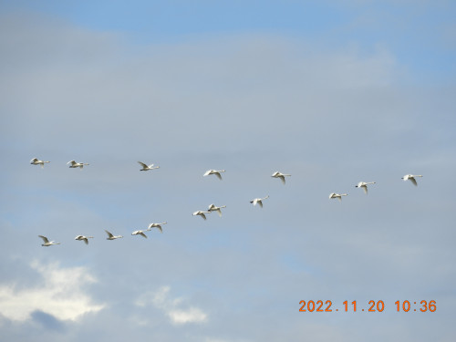 DSCN0175.JPG