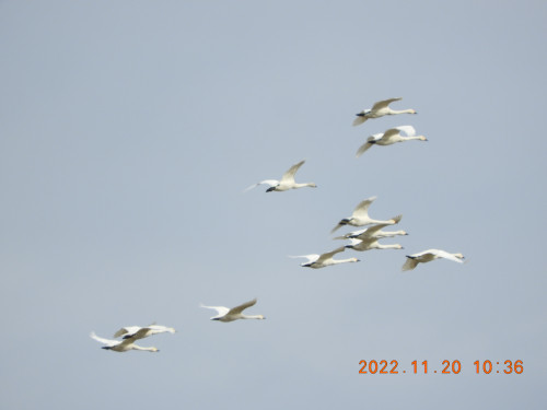 DSCN0177.JPG