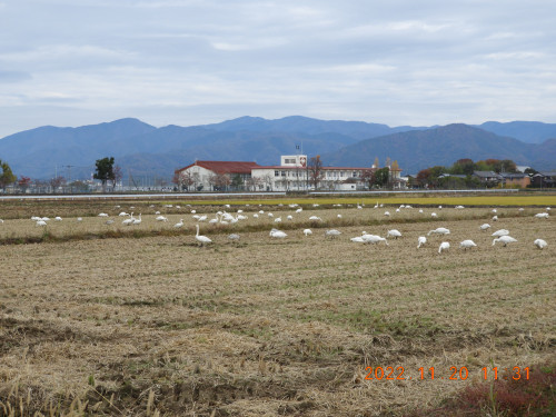 DSCN0183.JPG