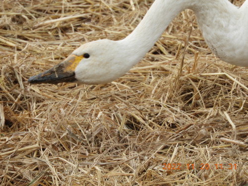 DSCN0186.JPG