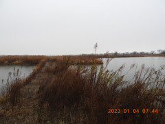 DSCN0873.JPG